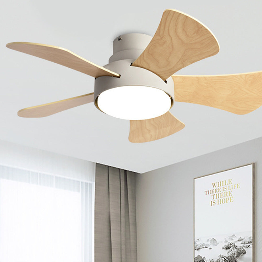 Modern Simple Flush Ceiling Fan With LED Lighting