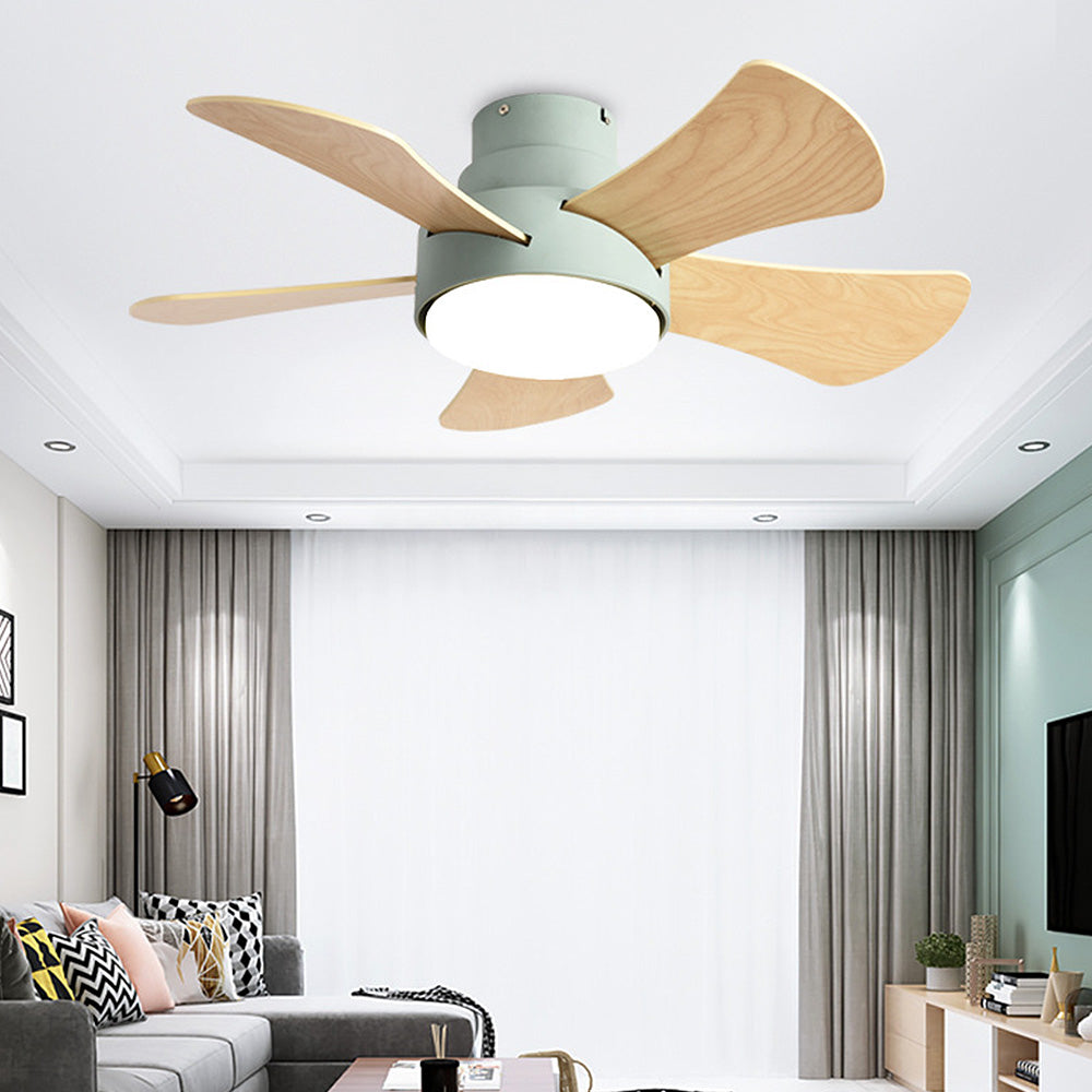 Modern Simple Flush Ceiling Fan With LED Lighting