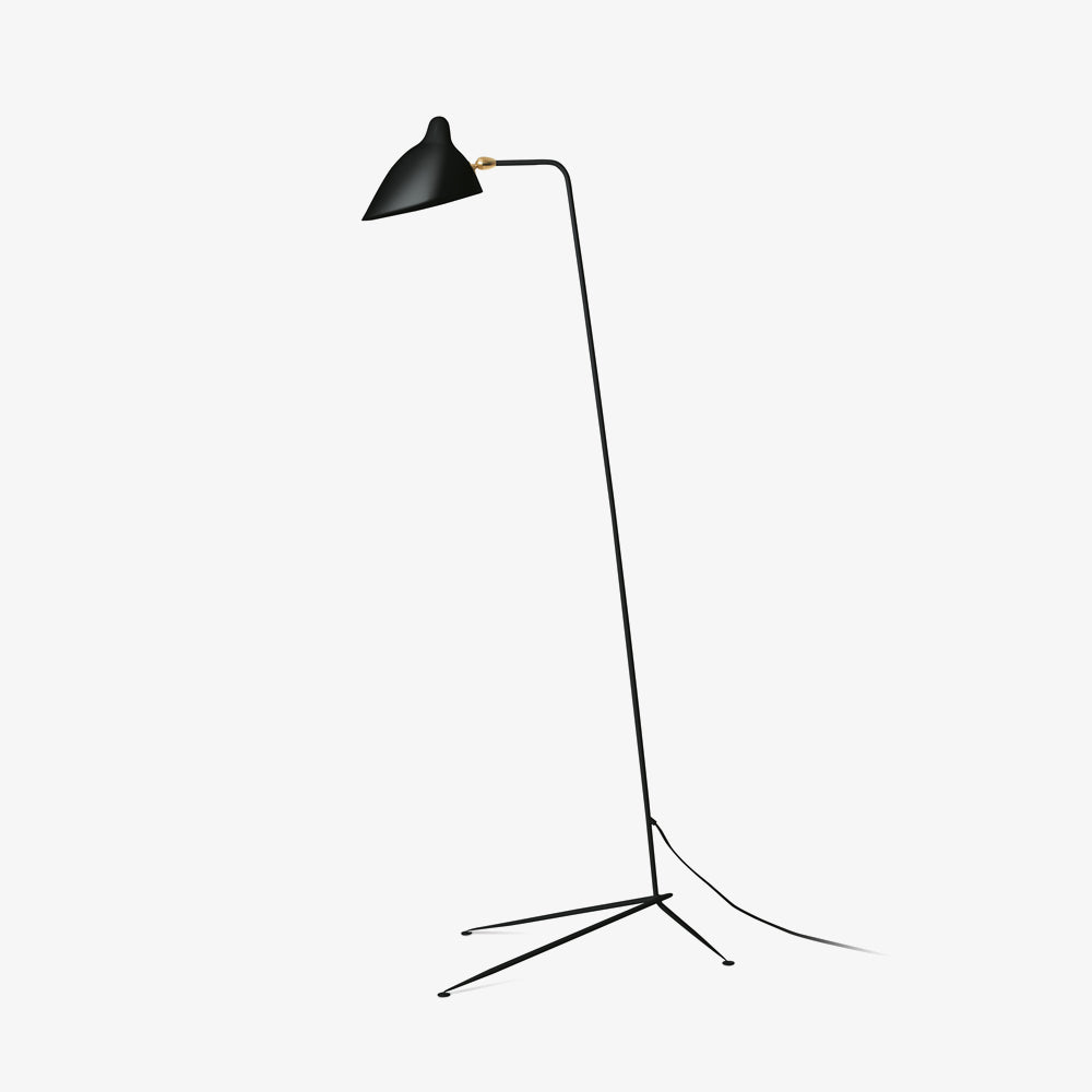 Single Light Duckbill Floor Lamp with Tripod -Homwarmy