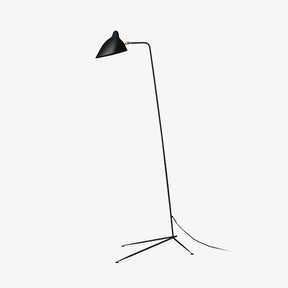 Single Light Duckbill Floor Lamp with Tripod -Homwarmy