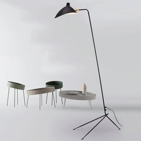 Single Light Duckbill Floor Lamp with Tripod -Homwarmy